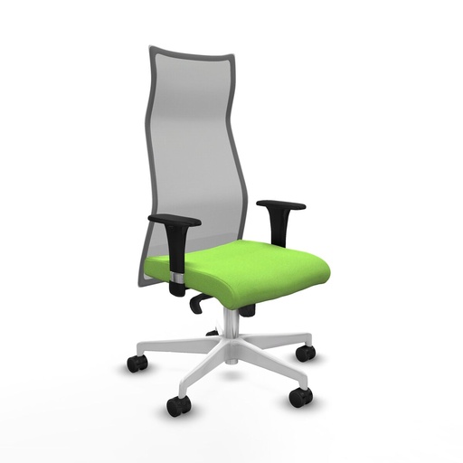 Office Chair Albacete Piqueras y Crespo B1C026N Pistachio